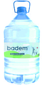 BADEMPINAR