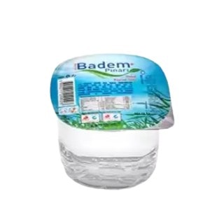 BADEMPINAR